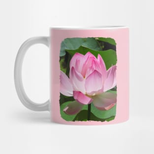 Pink Lotus Mug